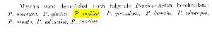 Remane, A (1933): H.G. Bronn’s Klassen und Ordnungen des Tierreichs. Vermes. II. Abteilung: Aschelminthen. I. Buch: Rotatorien, Gastrotrichen und Kinorhynchen 4 (3. und 4. Lieferung) p.542